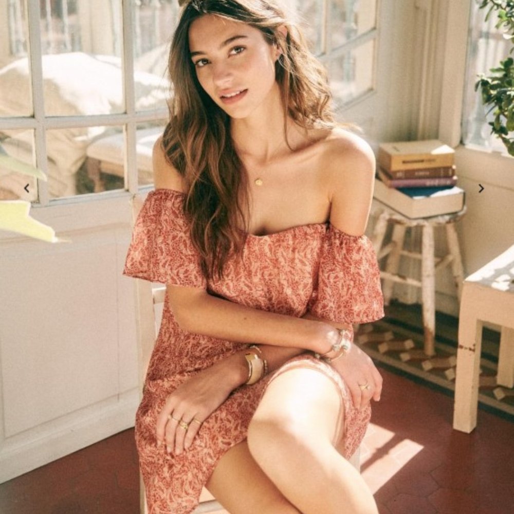 NWT Sezane Alba Dress Size 10, Kashmir Earth